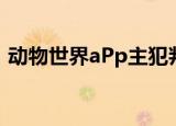 动物世界aPp主犯判决结果（动物世界app）