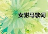 女驸马歌词（女驸马整首歌词）