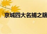 京城四大名捕之瞎子传奇（京城四大名捕）