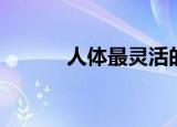 人体最灵活的关节（是肩关节）