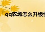 qq农场怎么升级快（qq农场如何升级快）