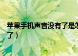 苹果手机声音没有了是怎么回事（为什么苹果手机声音没有了）