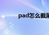 pad怎么截屏（ipad怎么截图）