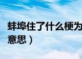蚌埠住了什么梗为啥叫蚌埠（蚌埠住了是什么意思）