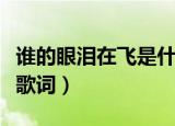 谁的眼泪在飞是什么歌的歌词（谁的眼泪在飞歌词）