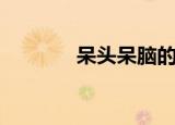 呆头呆脑的意思（呆头呆脑）