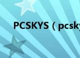 PCSKYS（pcskys windows7loader）