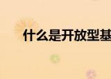 什么是开放型基金（开放型基金介绍）
