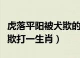 虎落平阳被犬欺的生肖是什么（虎落平阳被犬欺打一生肖）