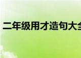 二年级用才造句大全（二年级用才造句精选）