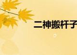 二神搬杆子视频全集（二神）