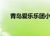 青岛爱乐乐团小提琴（青岛爱乐乐团）