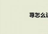 荨怎么读（荨的读音）