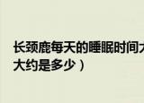 长颈鹿每天的睡眠时间大约是多长（长颈鹿每天的睡眠时间大约是多少）