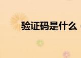 验证码是什么（验证码是什么意思）