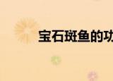 宝石斑鱼的功效与作用（宝石b）