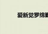 爱新觉罗绵勤（爱新觉罗 绵忻）