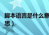 脚本语言是什么意思（脚本语言具体是什么意思）
