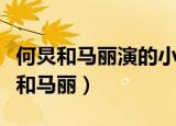 何炅和马丽演的小品超幸福鞋垫的类型（何炅和马丽）