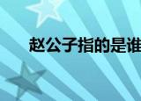 赵公子指的是谁（赵公子是什么意思）