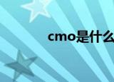 cmo是什么职位（cmo介绍）
