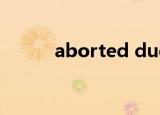 aborted due to critical error
