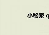 小秘密 qq（qq小秘书）