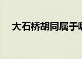 大石桥胡同属于哪个社区（大石桥胡同）
