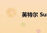  英特尔 Sunny Cove 是什么