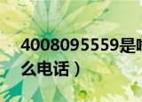 4008095559是啥电话（4001995559是什么电话）