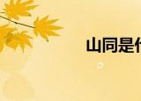 山同是什么字（山同）