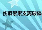 伤痕累累支离破碎是什么歌歌词是什么意思