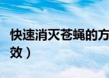 快速消灭苍蝇的方法（怎么消灭苍蝇最快最有效）