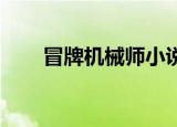 冒牌机械师小说（冒牌机甲师 小说）