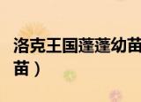 洛克王国蓬蓬幼苗绝版了吗（洛克王国蓬蓬幼苗）