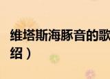 维塔斯海豚音的歌名（维塔斯海豚音歌名的介绍）