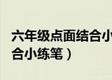 六年级点面结合小练笔400字（六年级点面结合小练笔）
