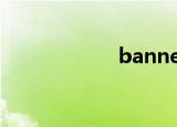  banner 是什么意思