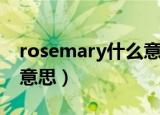 rosemary什么意思中文（rosemary是什么意思）