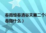 春雨惊春清谷天第二个春指什么?（春雨惊春清谷天第二个春指什么）