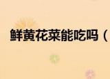 鲜黄花菜能吃吗（鲜黄花菜是否可以食用）