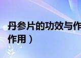 丹参片的功效与作用与主治（丹参片的功效与作用）