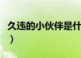 久违的小伙伴是什么意思（小伙伴是什么意思）