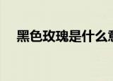 黑色玫瑰是什么意思（黑色玫瑰的含义）