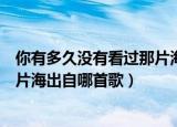 你有多久没有看过那片海什么歌（歌词你有多久没有看过那片海出自哪首歌）