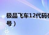 极品飞车12代码在哪领车（极品飞车12序列号）