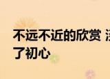 不远不近的欣赏 淡淡的喜欢 不至于到最后乱了初心