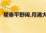 星垂平野阔,月涌大江流赏析（星垂平野阔）
