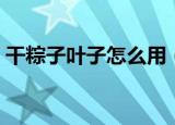 干粽子叶子怎么用（一定要这样处理后再用）