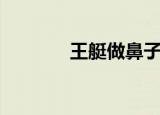 王艇做鼻子好贵（王艇隆鼻）